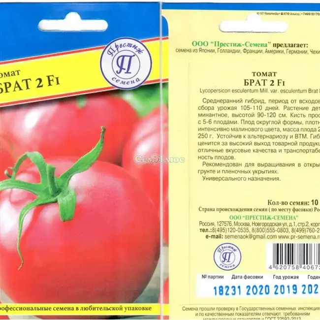 Описание сорта томатов Альфа