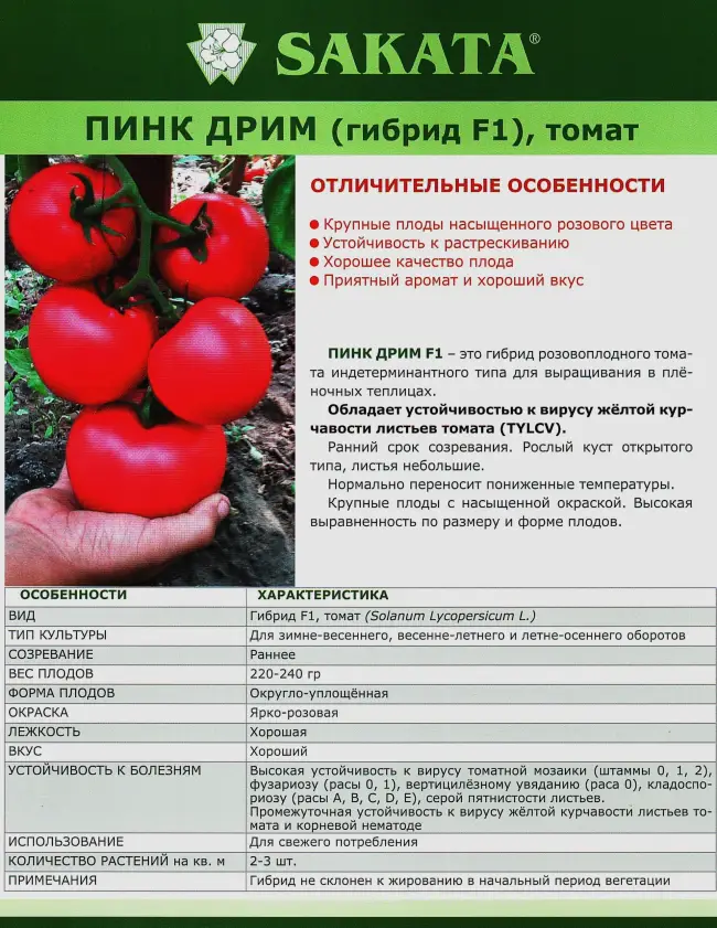 Характеристика томата Розовый сон F1 и агротехника выращивания сорта