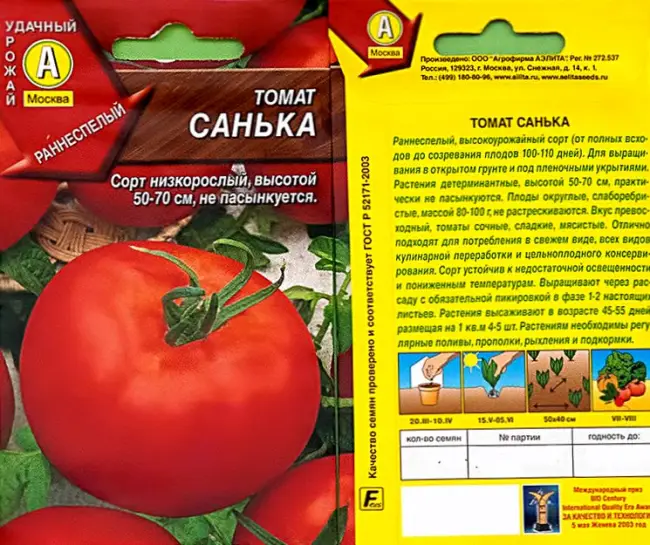 Посадка томатов в отрытый грунт