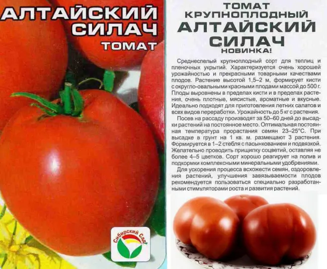 Особенности выращивания томата Настена, посадка и уход