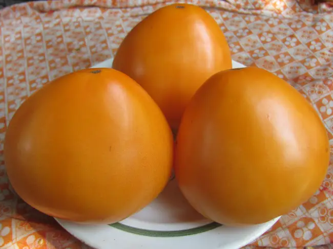 Характеристика томата Бычье сердце оранжевое