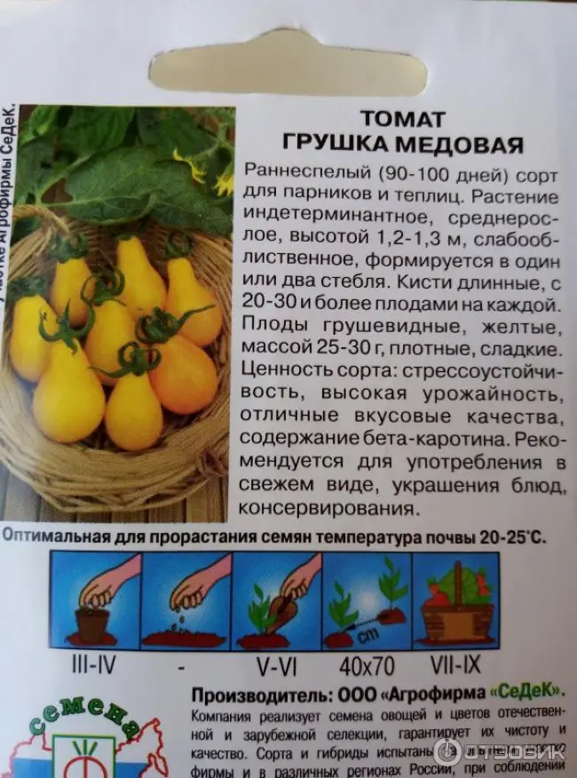 Посадка томатов Медовая капля