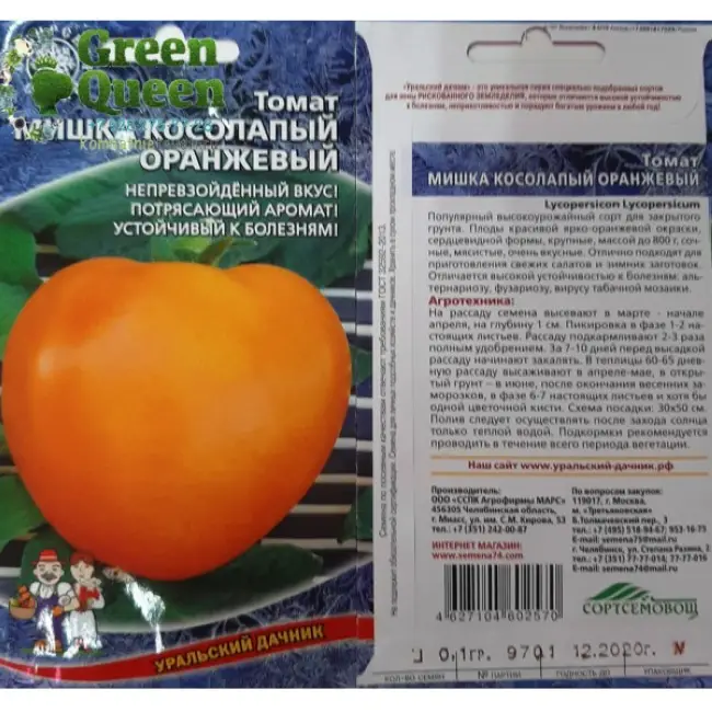 Описание и характеристика сорта Алтайский оранжевый, отзывы, фото