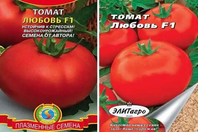 Описание сорта томата «Любовь земная»