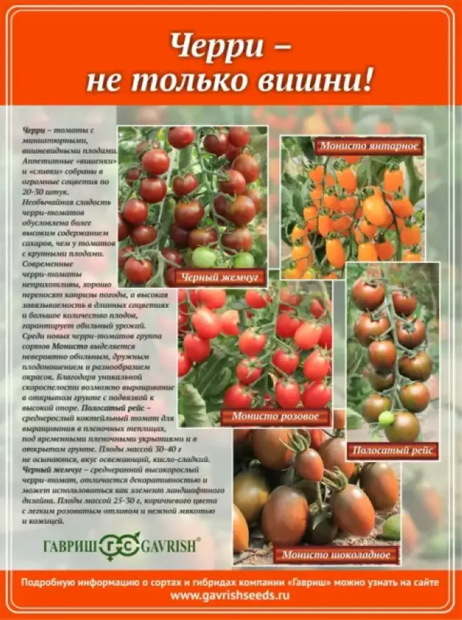 Описание сорта томата Славянка - его характеристика и урожайность