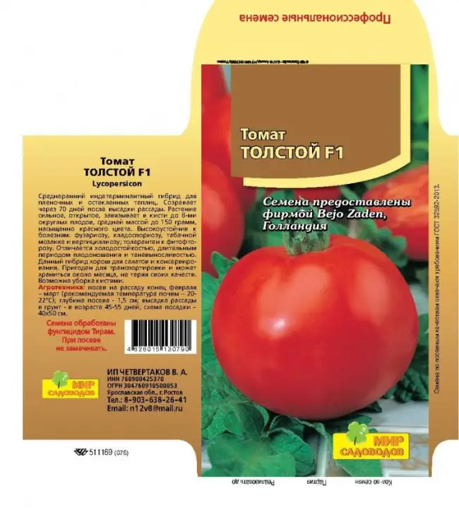 Особенности выращивания помидоров Толстой, посадка и уход
