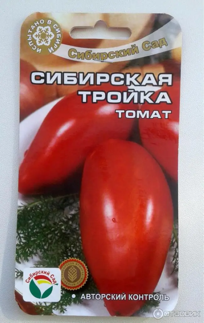 Сбор, использование и хранение томатов сорта Сибирская тройка