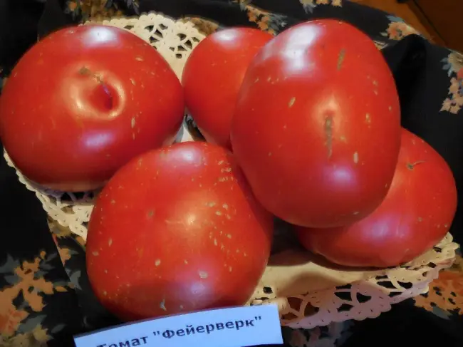 Описание сорта томата Фейерверк, его характеристика и особенности выращивания