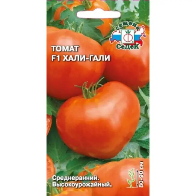 Описание и характеристика томатов Хали гали F1, отзывы, фото