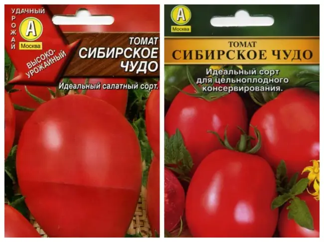 Подробное описание сорта томата Сибирское чудо