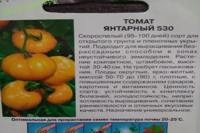 Описание сорта томата Эля, особенности выращивания и ухода