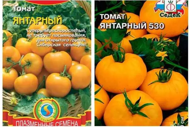 Сбор, использование и хранение сорта томата Янтарный 530