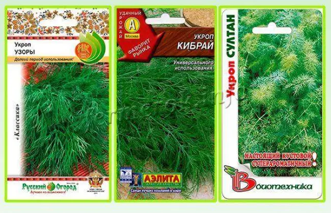 Укроп Салют Описание Сорта Фото Отзывы