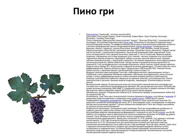 Технологическая характеристика винограда.