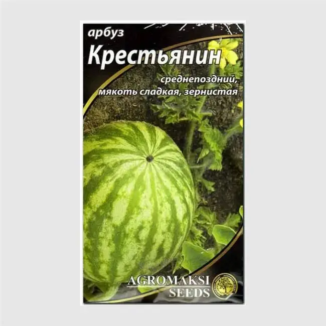 Крестьянин — сорт растения Арбуз