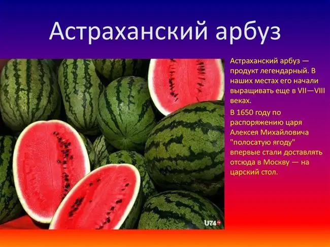 Арбуз лидер описание сорта. 10 самых вкусных красных арбузов, а главное, устойчивых в холодном климате