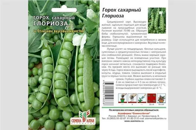 Амбассадор — сорт растения Горох овощной