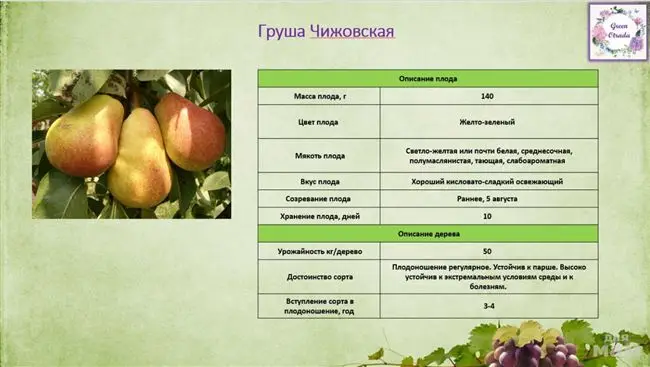 Груша «Декабринка»: характеристика сорта и полезные свойства плодов