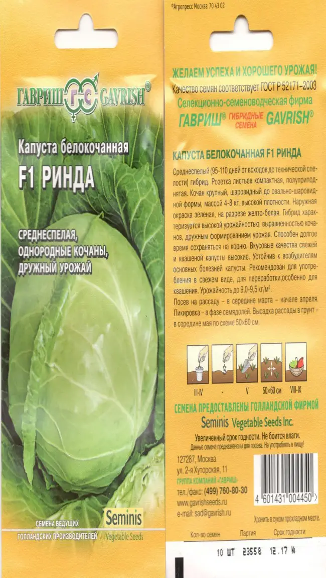 Капуста Ринда – высокоурожайный гибрид белокочанной капусты