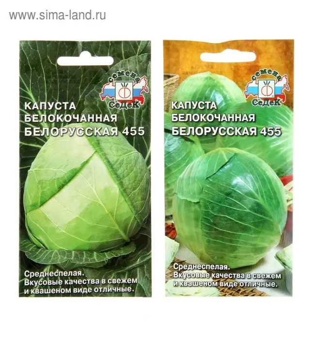 Подробное описание сорта белокочанной капусты Белорусская 455