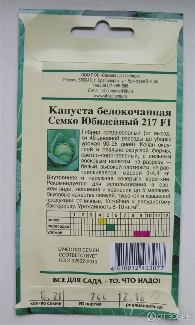 Семко Юбилейный 217 - сорт растения Капуста белокочанная