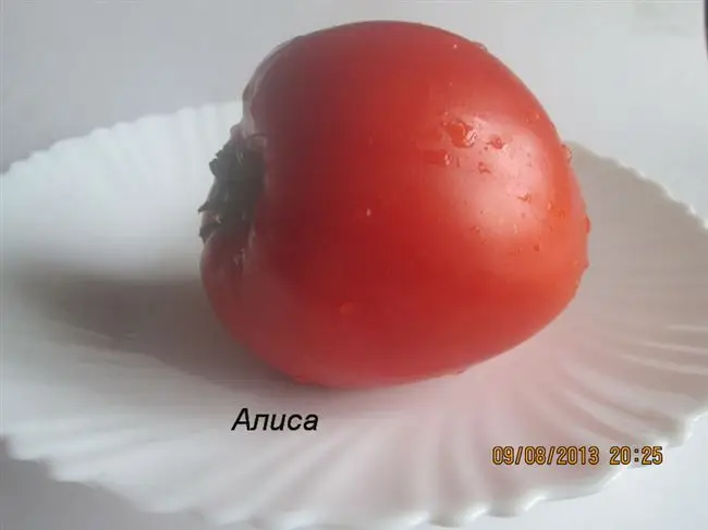 Сорт картофеля «Алиса» – описание и фото