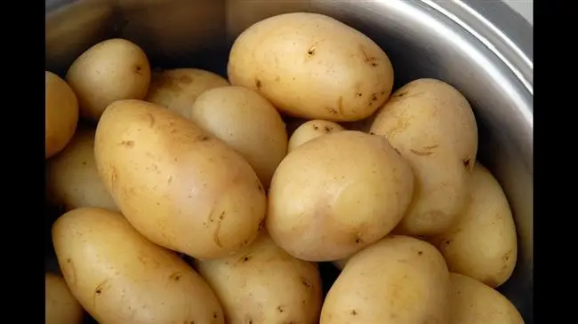 Картофель сорта Бронницкий — Чудо-огород