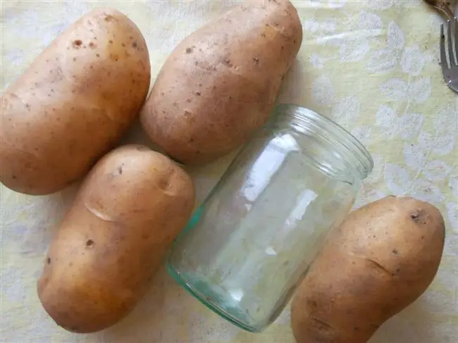 Сорт картофеля Вега — описание, характеристики, плюсы и минусы