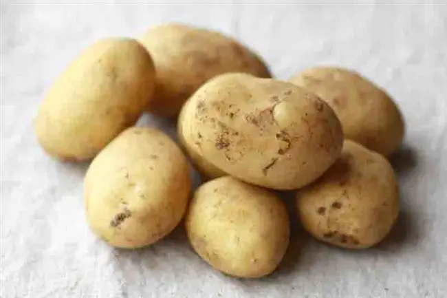 Картофель сорт Вымпел: характеристика сорта и отзывы о вкусовых качествах