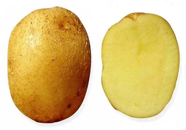 Картофель Жигулевский | Сорта картофеля