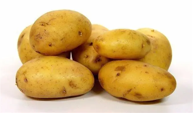 Картофель Зекура – чем примечателен сорт, отзывы дачников, описание с фото, урожайность, масса клубней, таблица с характеристиками
