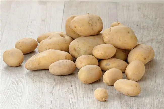 Характеристика картофеля сорта крона