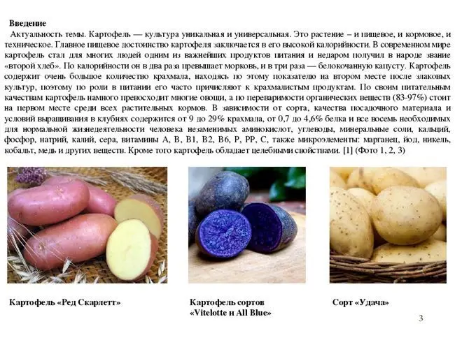 Картофель Купец: описание сорта и характеристика, фото и отзывы, вкусовые качества