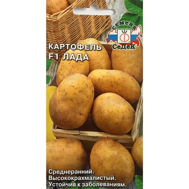 Картофель Лад | Сорта картофеля