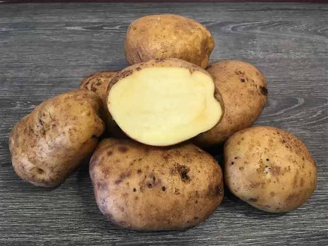 Особенности сорта картофеля Накра
