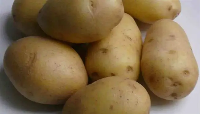 Картофель Нандина: описание сорта, вкусовые и урожайные характеристики