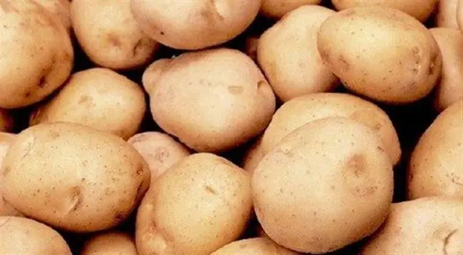 Картофель сагитта описание сорта — Сорт картофеля