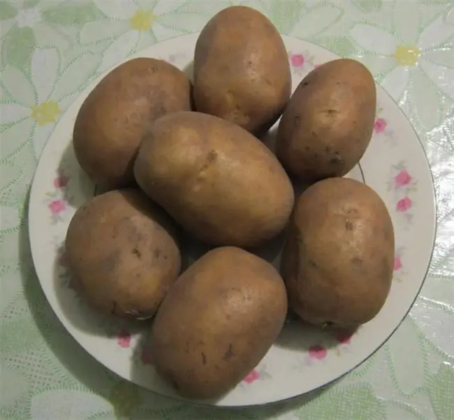 Картофель «Скарб»: характеристика сорта, вкусовые качества, сколько дней растет