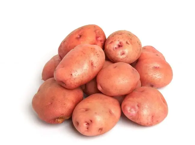 Картофель Снегирь — совокупность высоких вкусовых качеств, раннего срока созревания, хорошей сохранности урожая и устойчивости к болезням и вредителям.