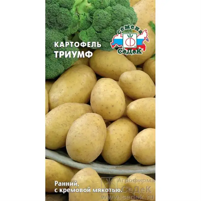 Картофель Триумф: описание сорта, характеристики, достоинства, правила посадки, рекомендации по выращиванию, отзывы