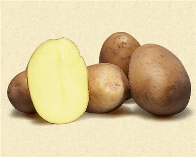 Картофель эффект описание сорта