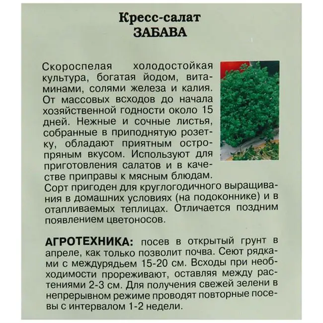 Забава - сорт растения Кресс-салат