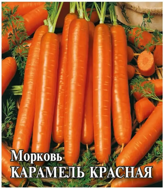 Карамель Малиновая - сорт растения Морковь