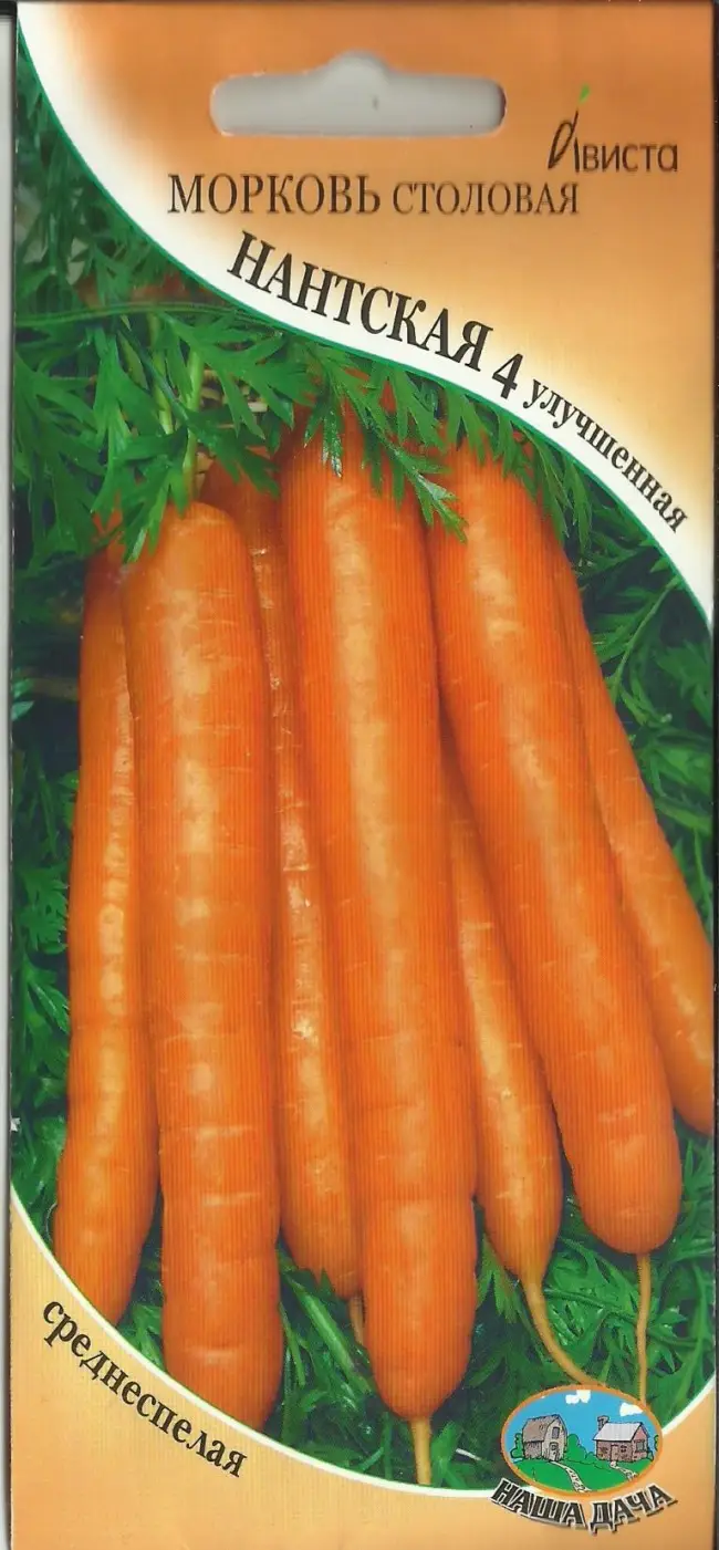 Морковь Даяна: описание, фото, отзывы