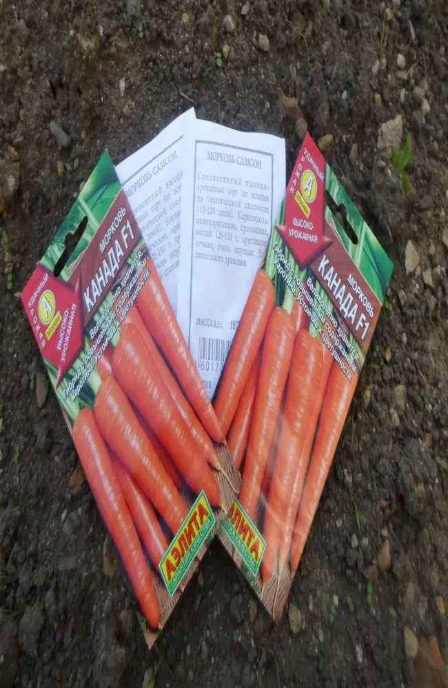 Стоит ли сажать морковь Мармелад Красный, плюсы и минусы сорта