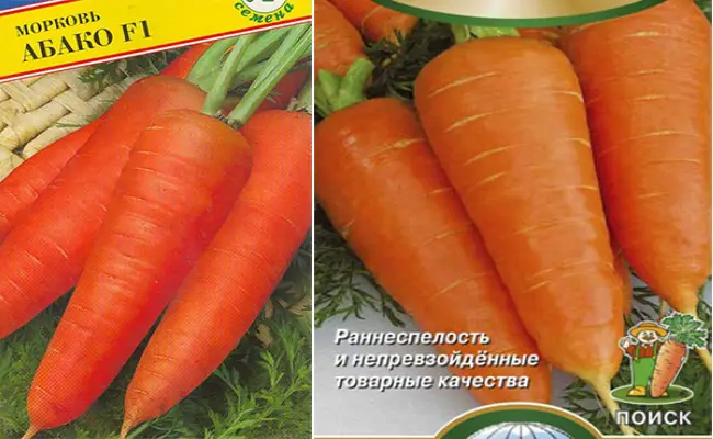 Морковь Абако F1: описание сорта, фото, отзывы, урожайность