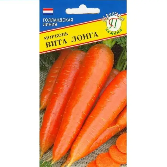 Стоит ли выращивать морковь Вита Лонга, плюсы и минусы сорта