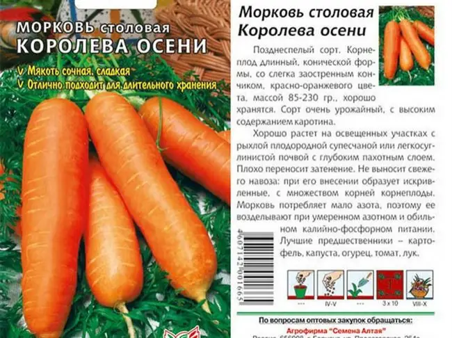 ТАНГЕРИНА F1 морковь Энза Заден (1.4-1.6) — Премьер-Агро