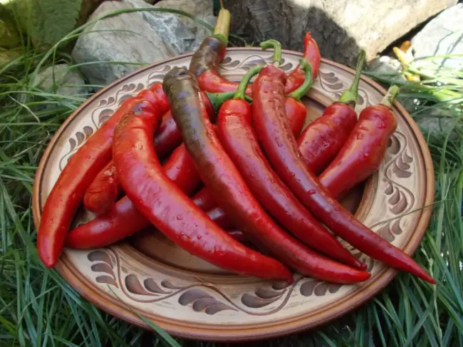 История происхождения сорта перца Бараний рог — преимущества и недостатки