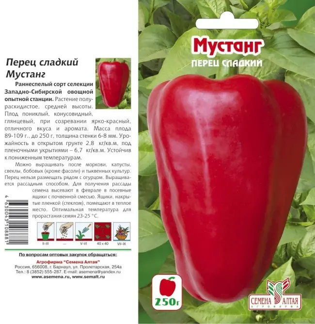 Перец Ажур F1: отзывы об урожайности, фото семян Седек, описание сладкого болгарского сорта и характеристика